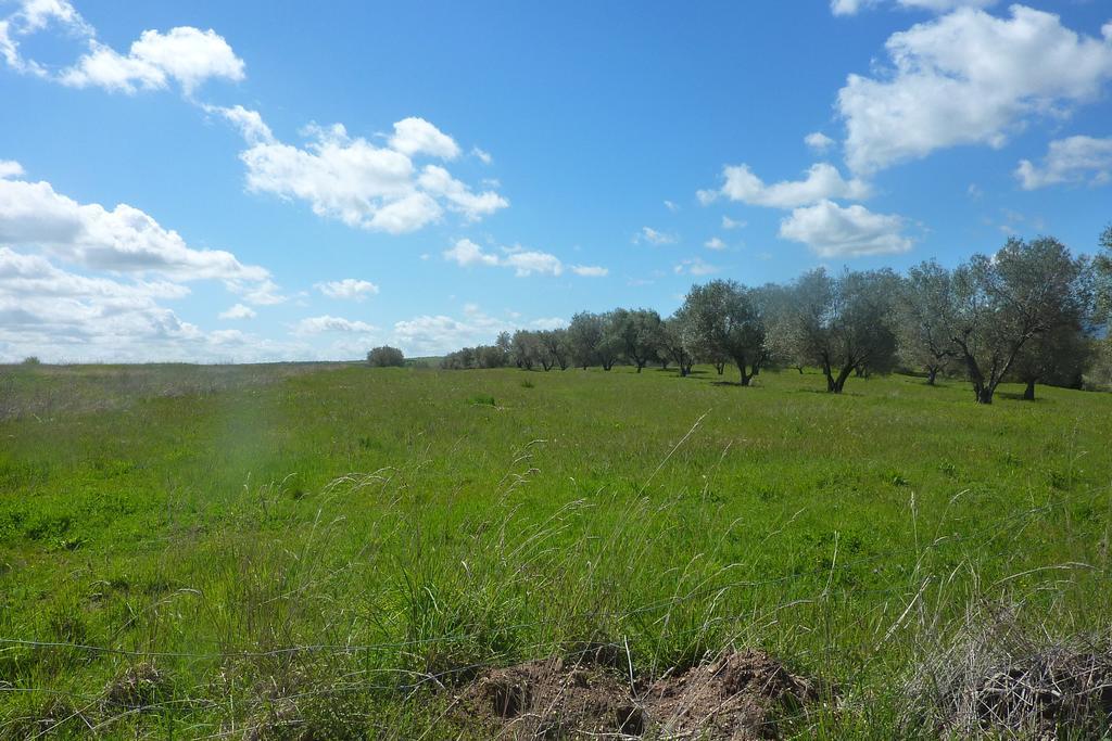 Casa Marta Villa Pitigliano Szoba fotó